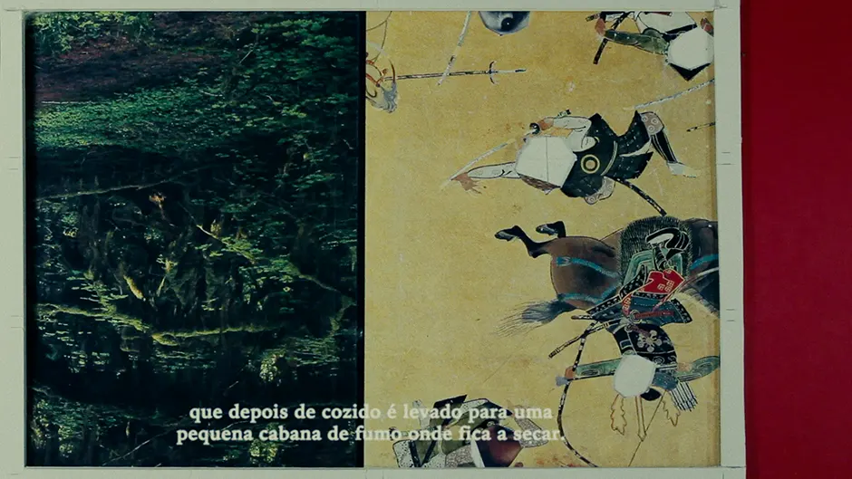 Aves do Paraíso & Underwear of Destruction